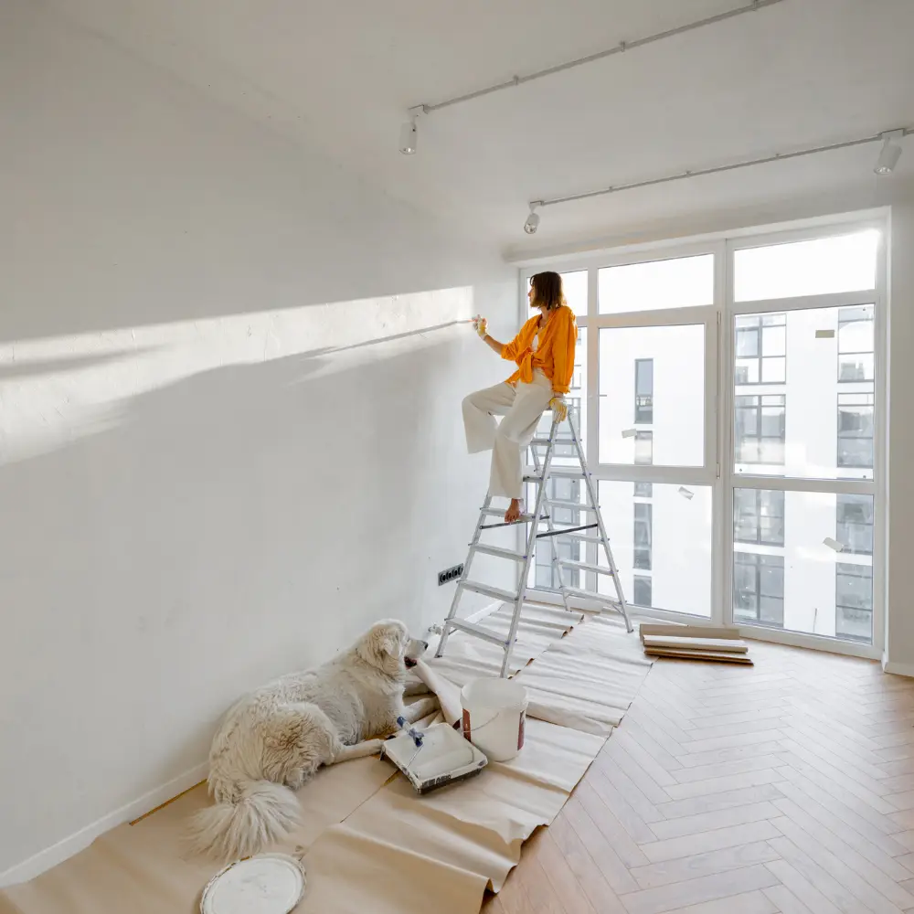 A woman paints a white wall atop a ladder, while her dog naps—perfect inspiration for your home loans journey.